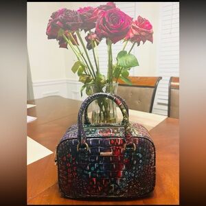 Florida 🐊 crocodile Bag